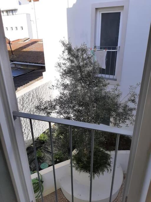 River & Near Lisbon Apartment